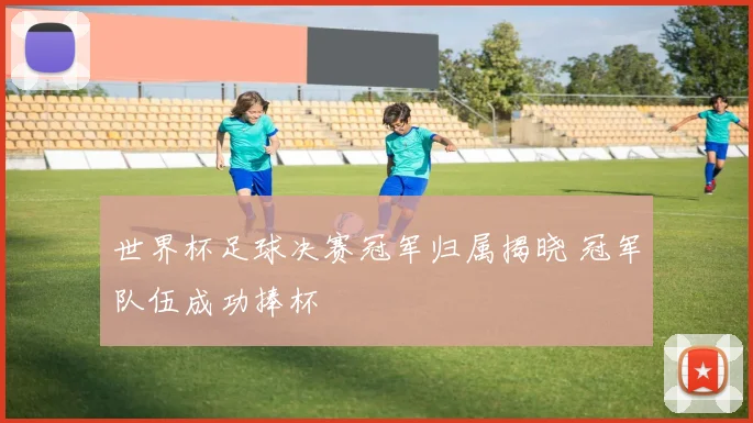 世界杯足球决赛冠军归属揭晓 冠军队伍成功捧杯