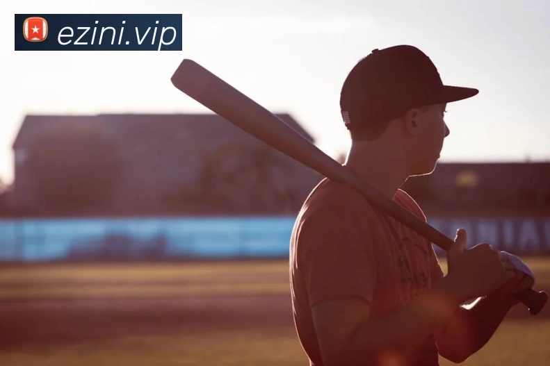 星空平台入口平台生态图